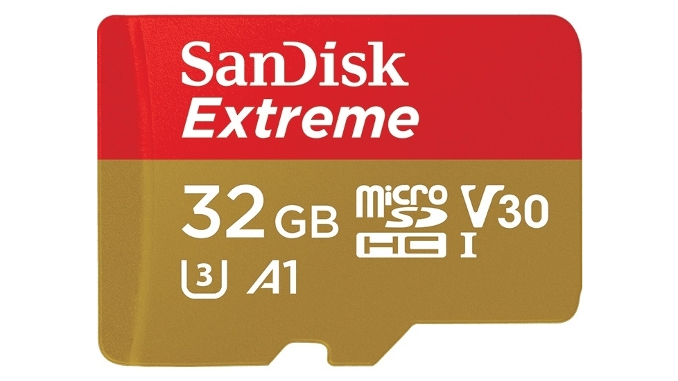 SD Cards & Memory Card Readers Joyce Mayne