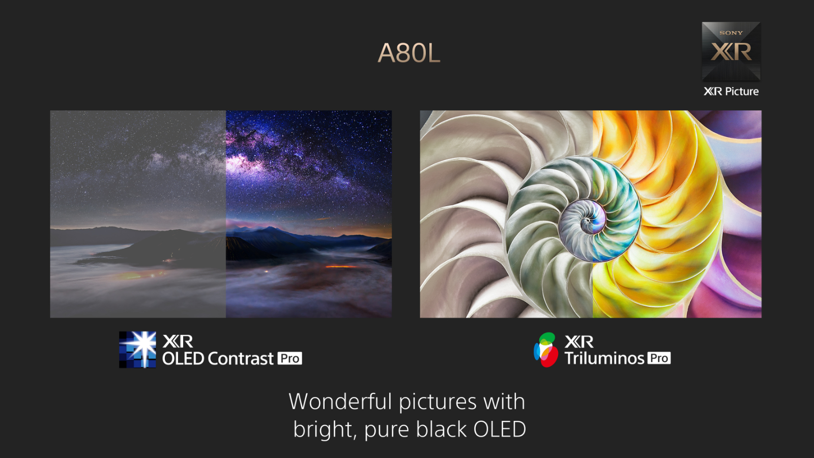 Sony 55inch XR A80L 4K UHD OLED Google TV Joyce Mayne