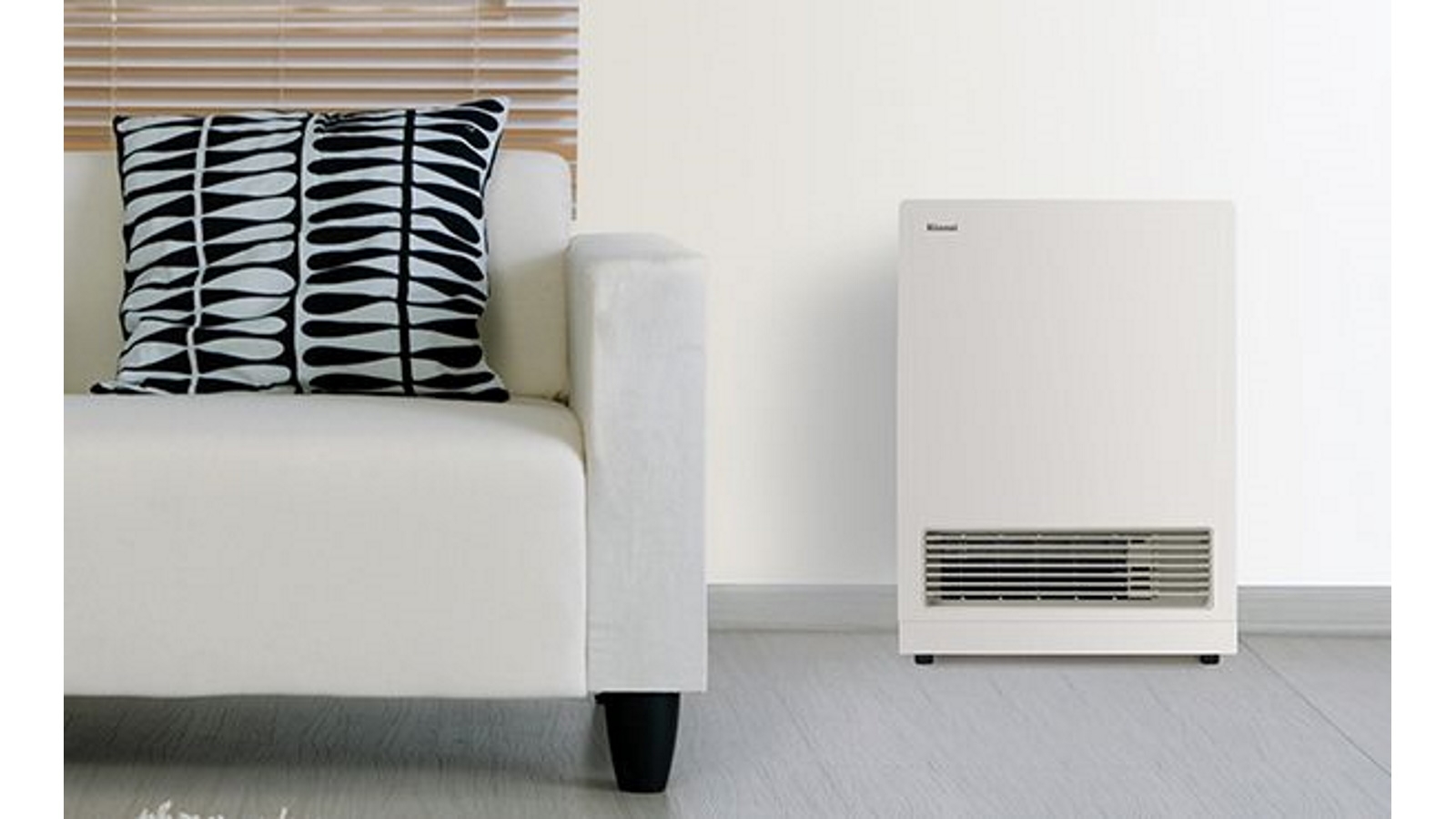 Rinnai EnergySaver LPG Gas Heater with Flue Kit Joyce Mayne