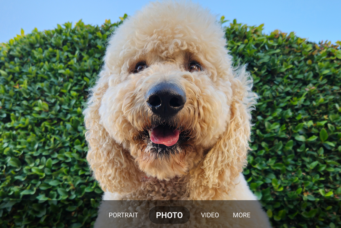 Samsung Galaxy S23 Ultra 256GB Black Joyce Mayne